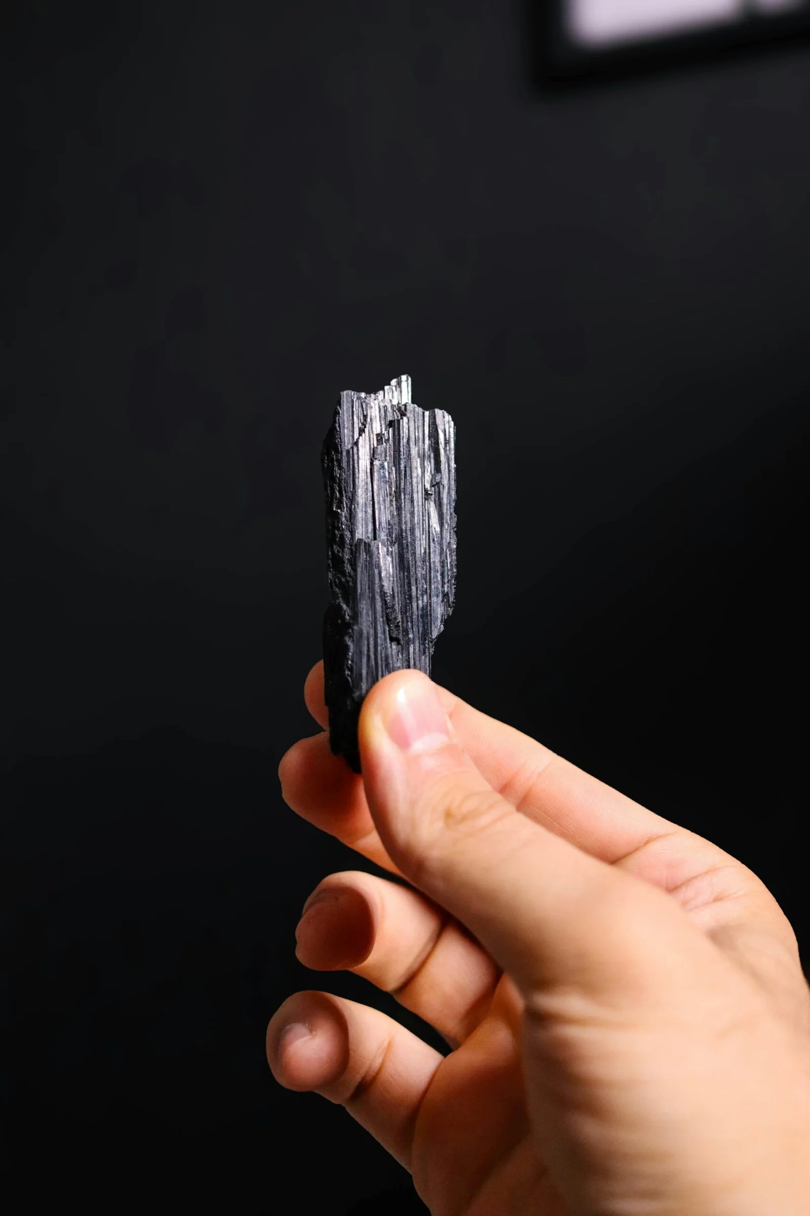 Astrologer Reading Cards